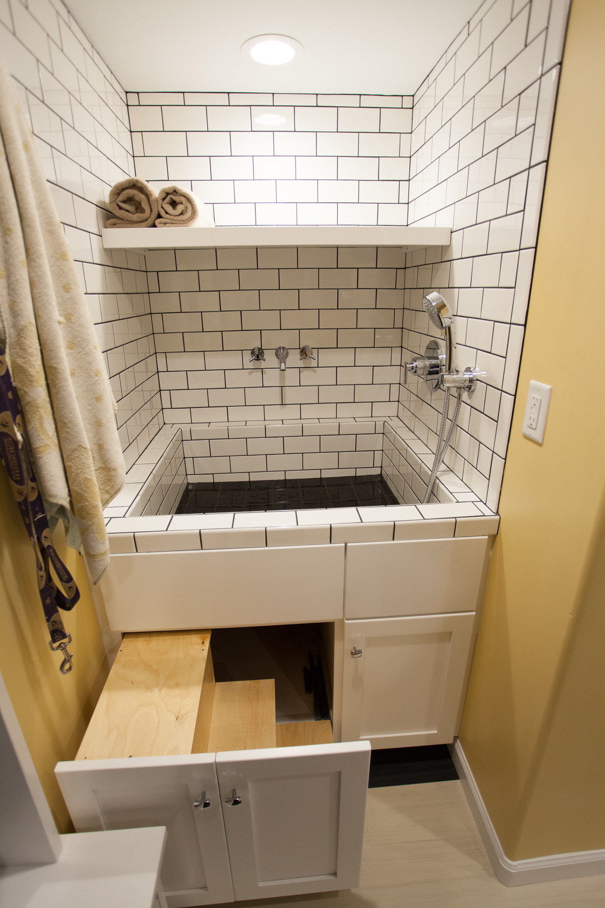 Dog washing station in laundry room
